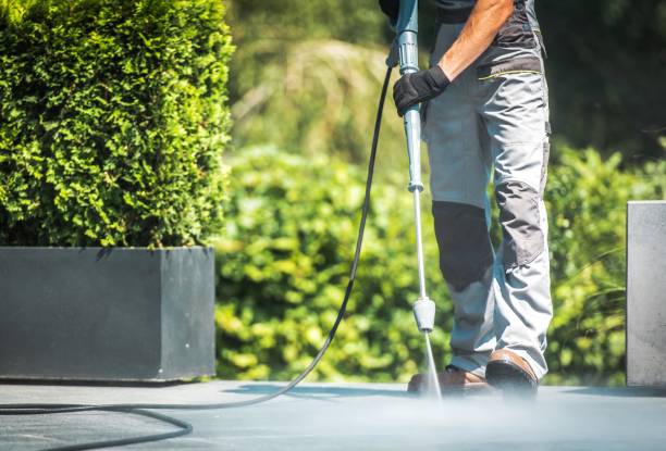 Best Gutter Cleaning and Brightening in Willow Grove, PA